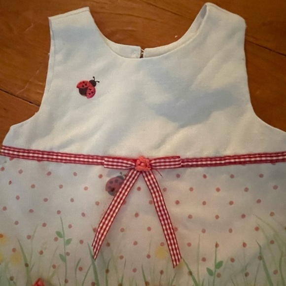 2T Peter Thomas Roth white sleeveless floral petticoat button back dress - Picture 3 of 7